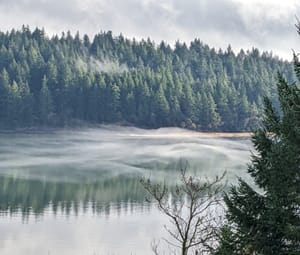 (Untitled)